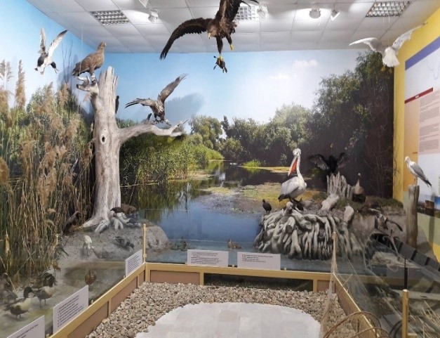 Природонаучен музей в Орешака